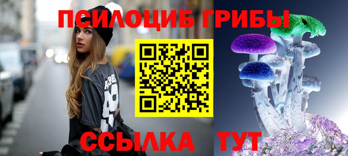 Псилоцибиновые грибы Psilocybe Волгоград