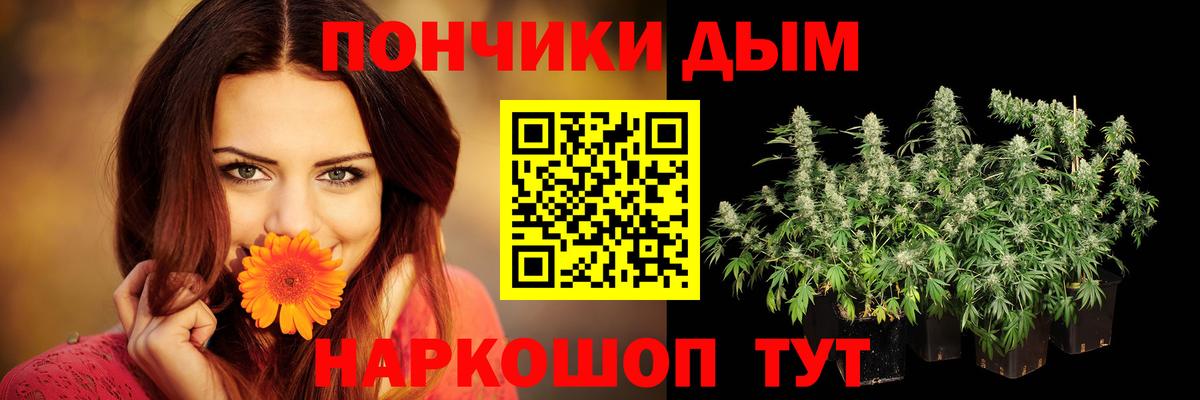 Канабис Bruce Banner  Вход с VPN  Каннабис THC 21%  Волгоград  Марихуана гибрид 